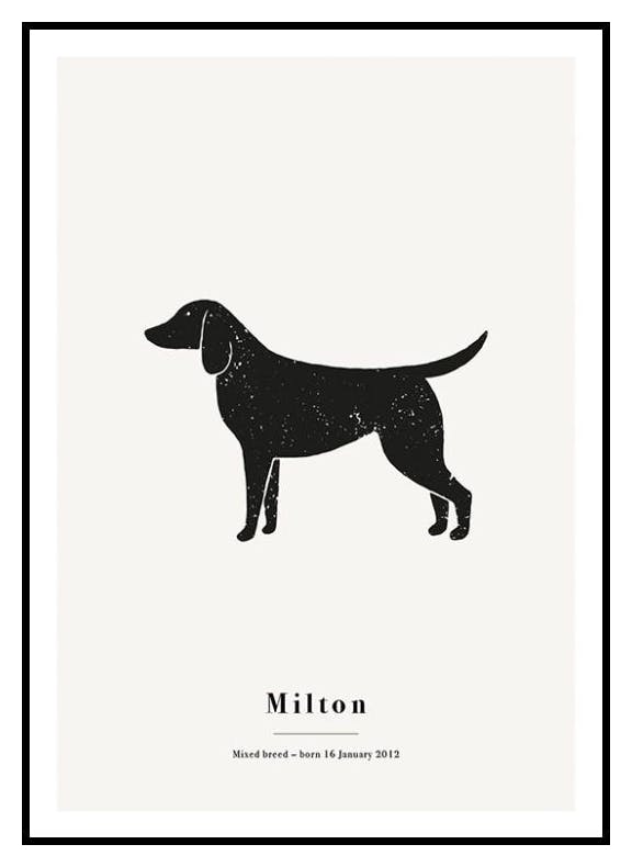 Il mio meticcio poster personalizzato (50x70 cm) - Poster Store