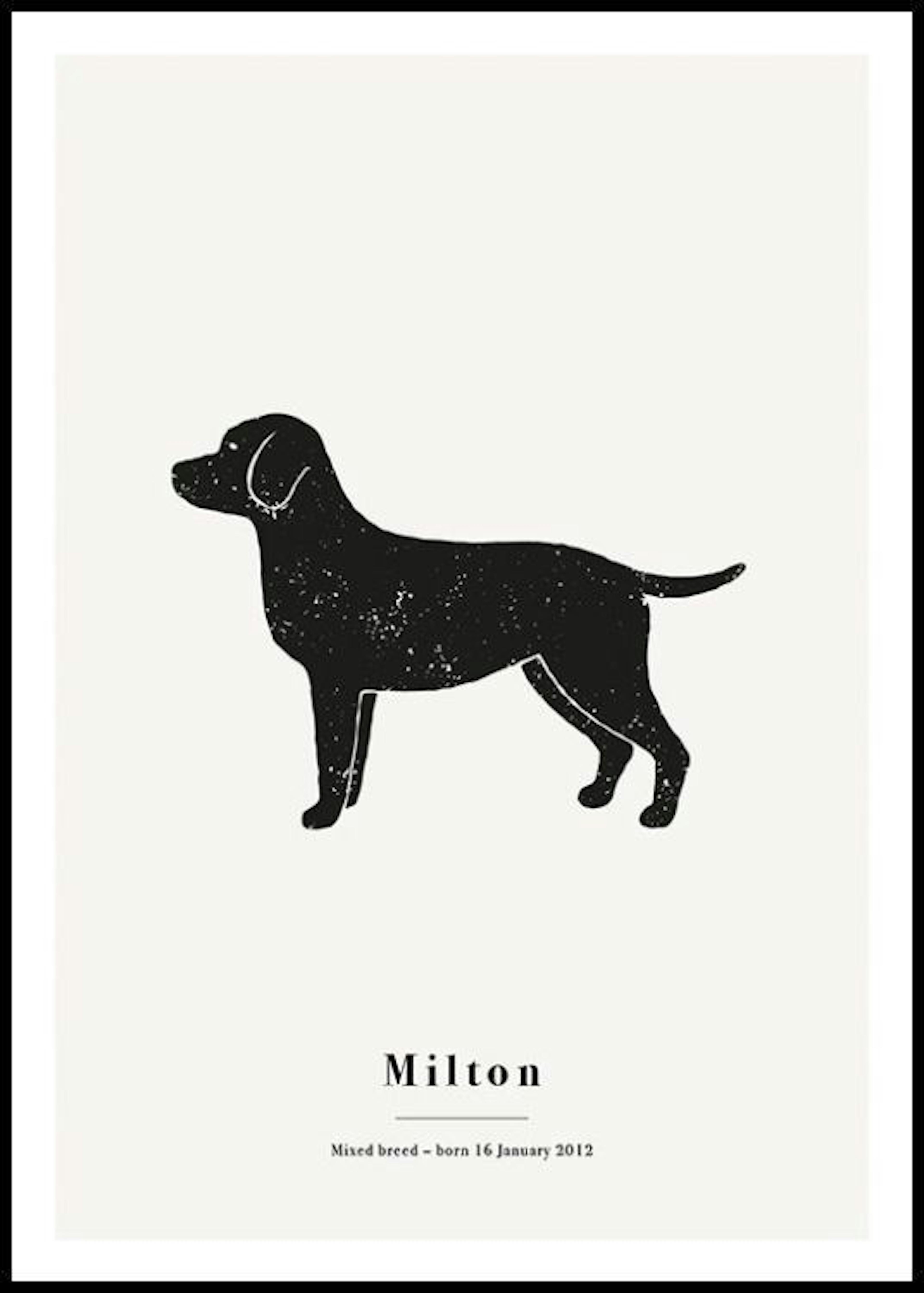 Mein Haustier Labrador Personalisiert Poster 0
