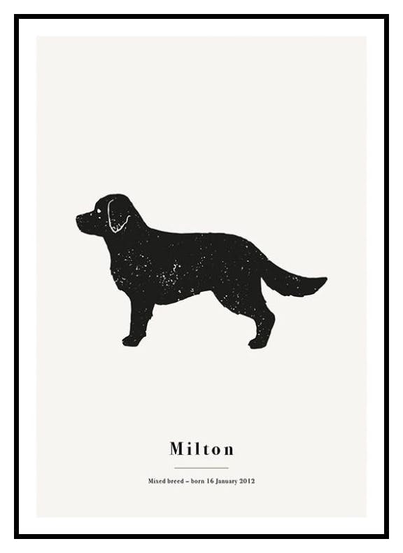 Prints My Pet Golden Retriver Personal Poster (30x40 cm) - Poster Store