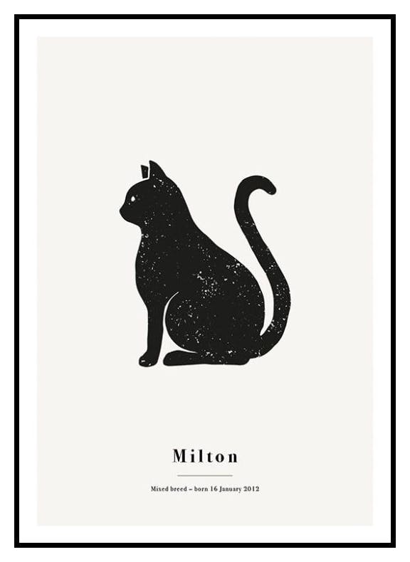 Mój zwierzak Kot Plakat Personalizowany (50x70 cm) - Poster Store