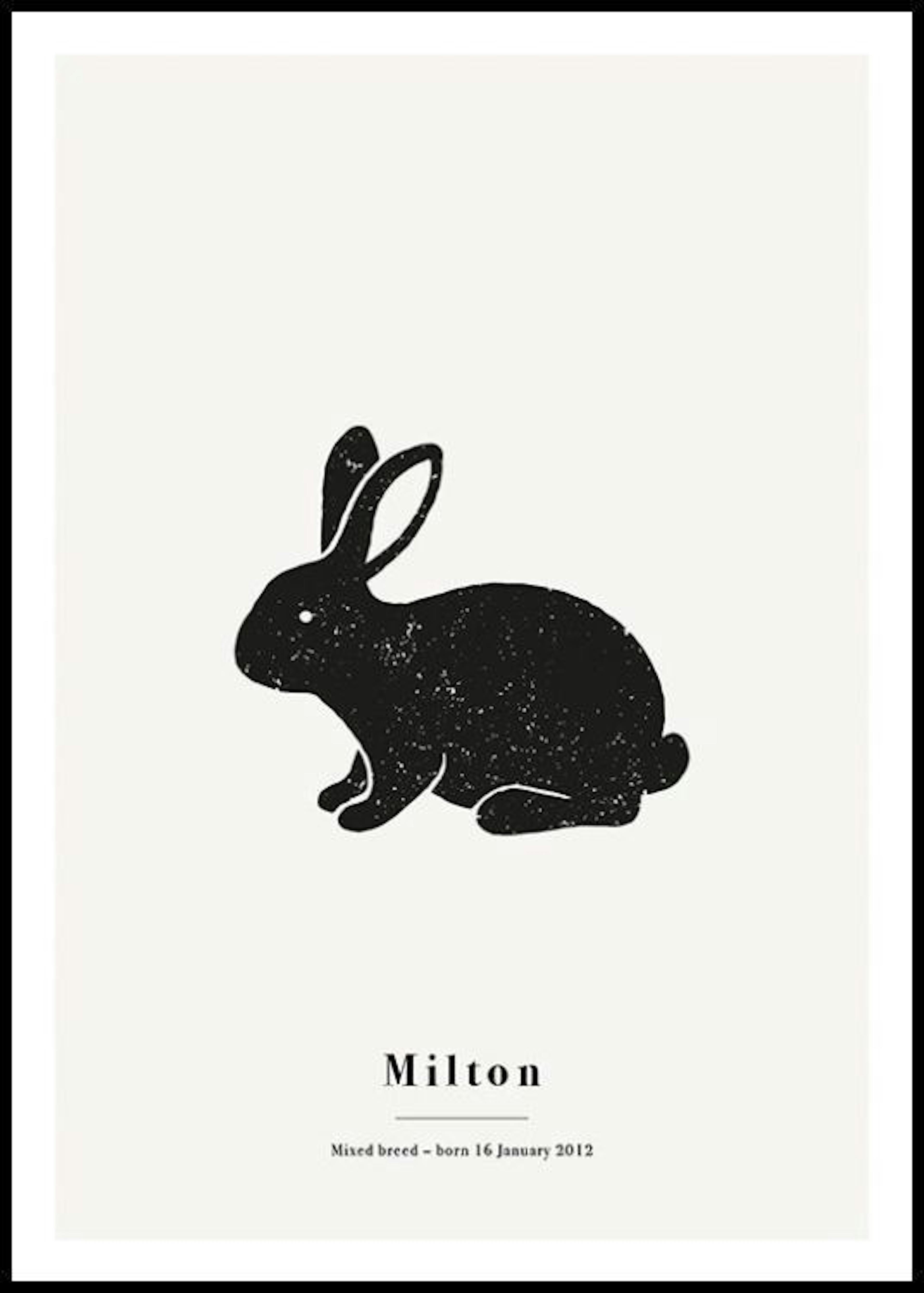 Il mio coniglio poster personalizzato 0