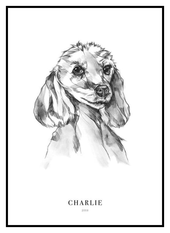 Cane barboncino poster personalizzato (50x70 cm) - Poster Store