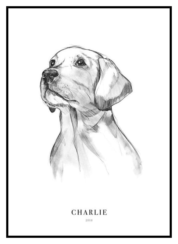 Pies Retriever Plakat Personalizowany (30x40 cm) - Poster Store