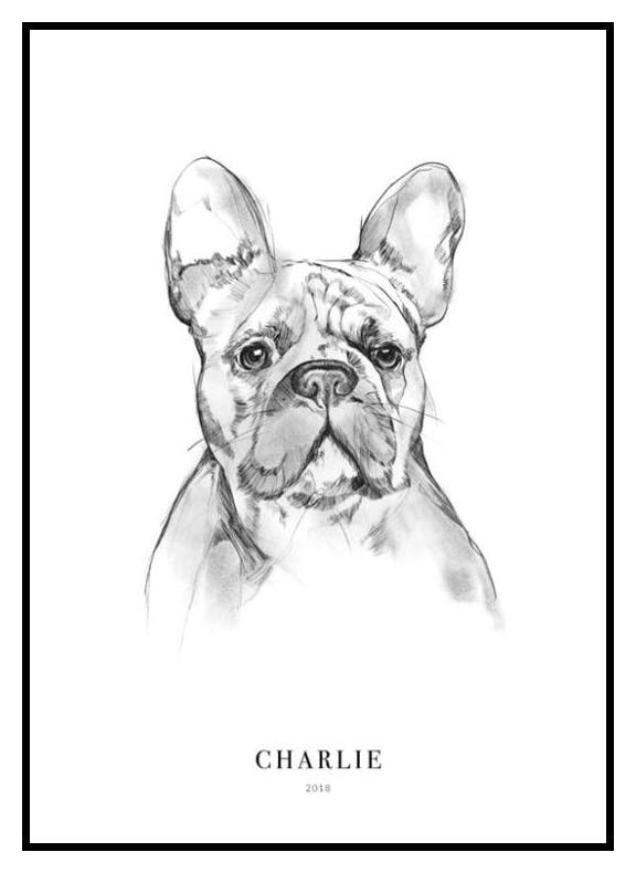 Bouledogue Français Poster Personnalisé (50x70 cm) - Poster Store