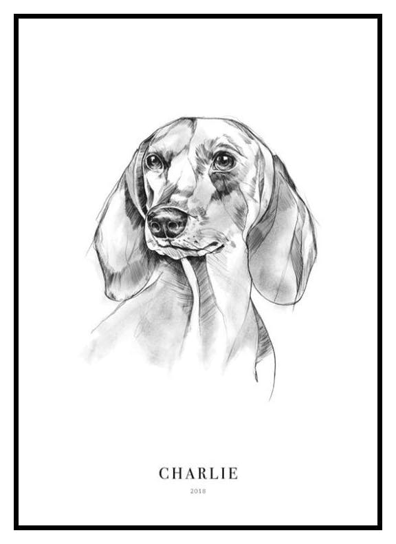 Pies Jamnik Plakat Personalizowany (30x40 cm) - Poster Store