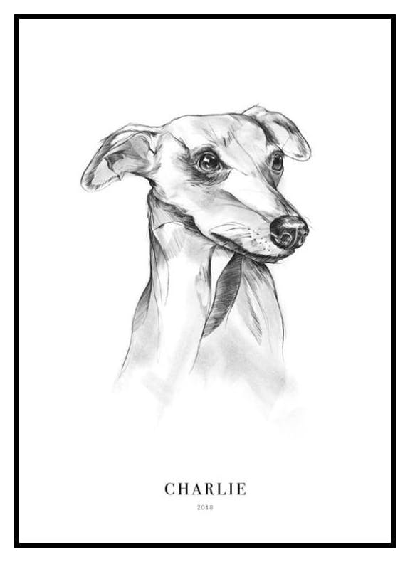 Chien Whippet Poster Personnalisé (50x70 cm) - Poster Store