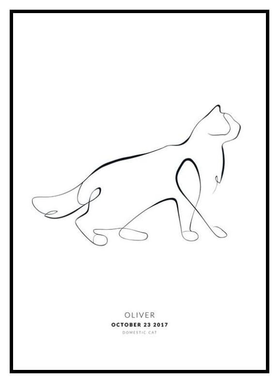 My Cat Ragdoll Personal Poster (50x70 cm) - Poster Store