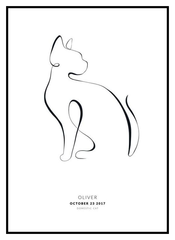 My Cat Devon Rex Personal Poster (50x70 cm) - Poster Store
