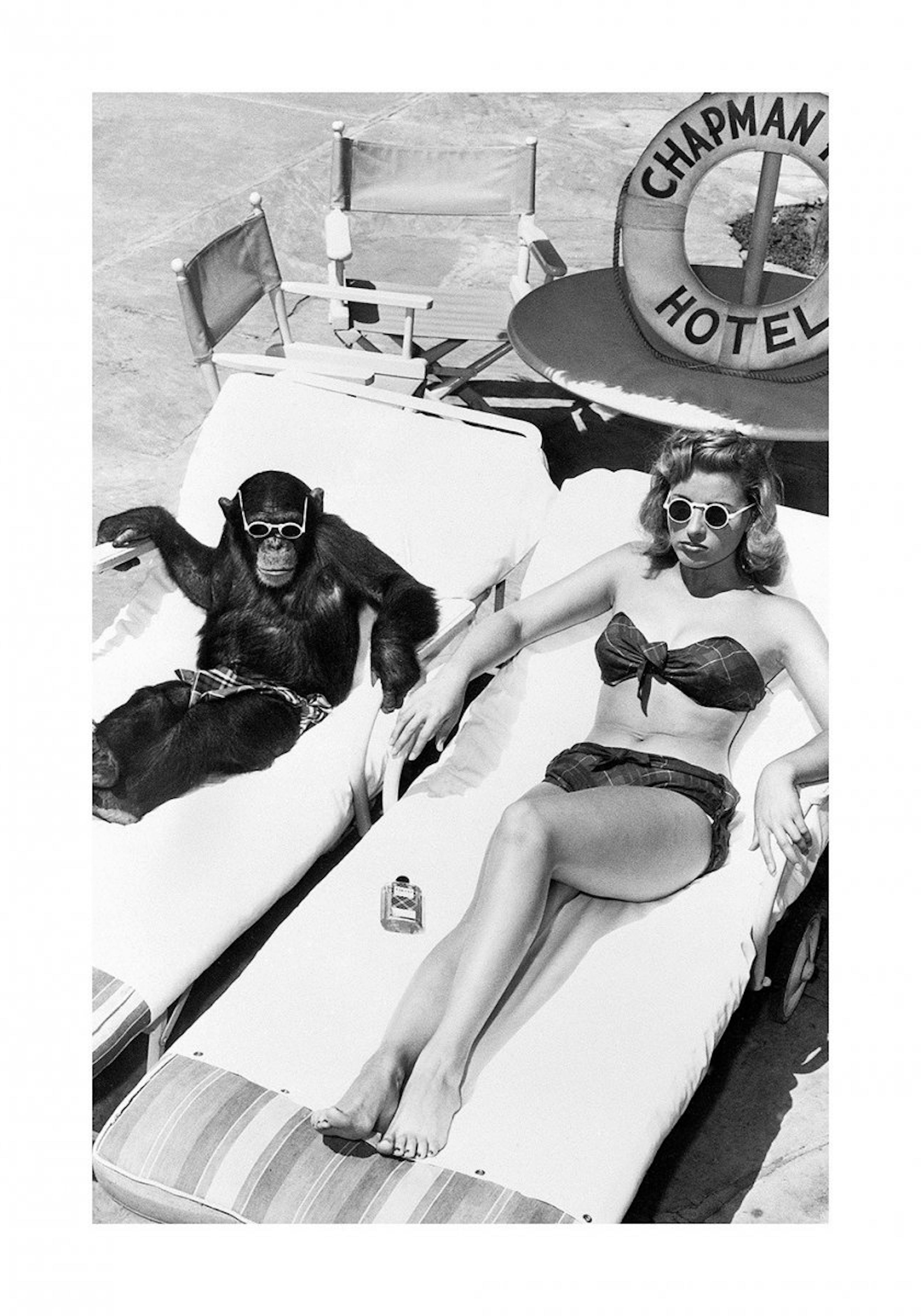 Woman Sunbathing with Chimpanzee Poster 0