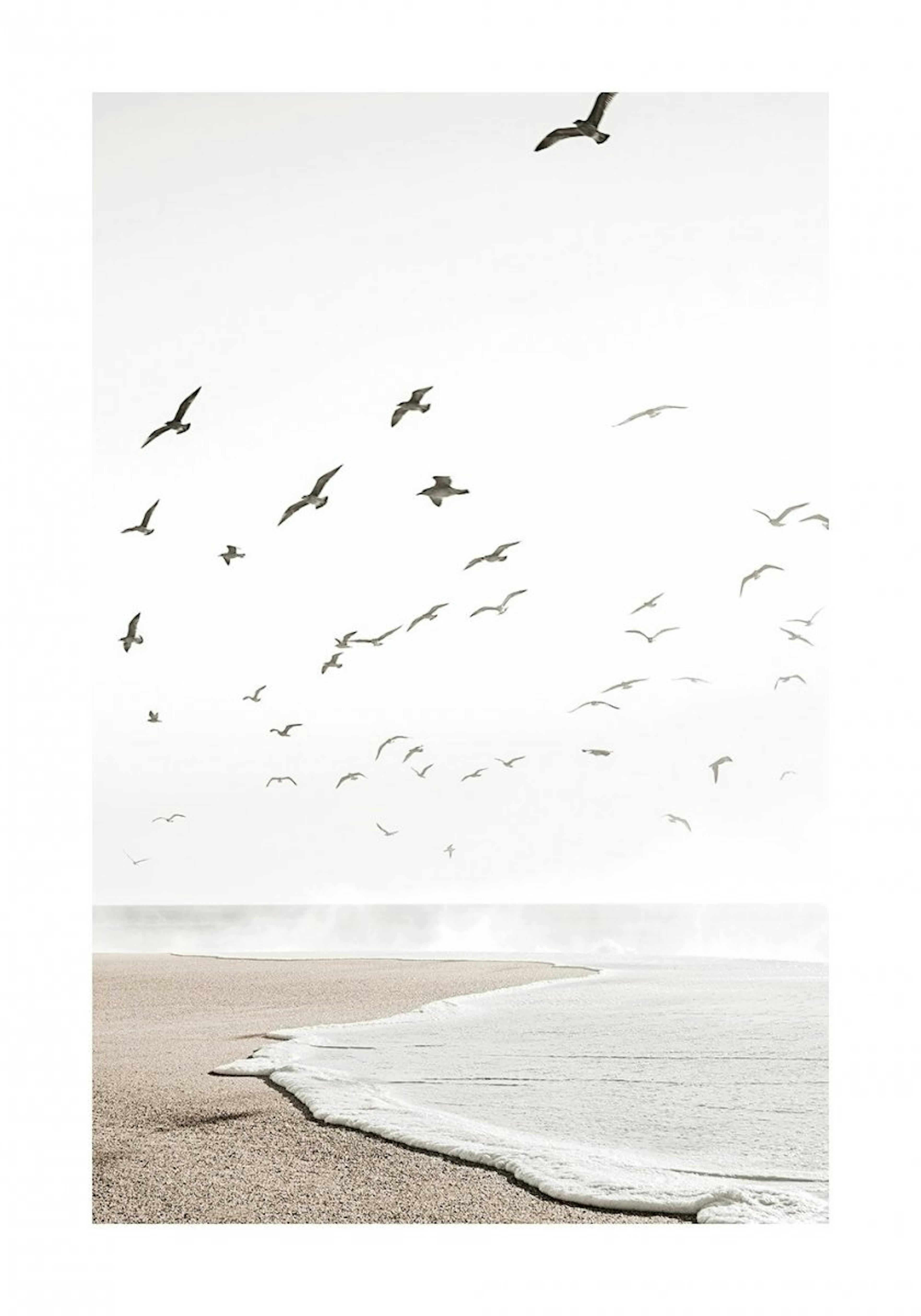 Calm Beach Plakat 0