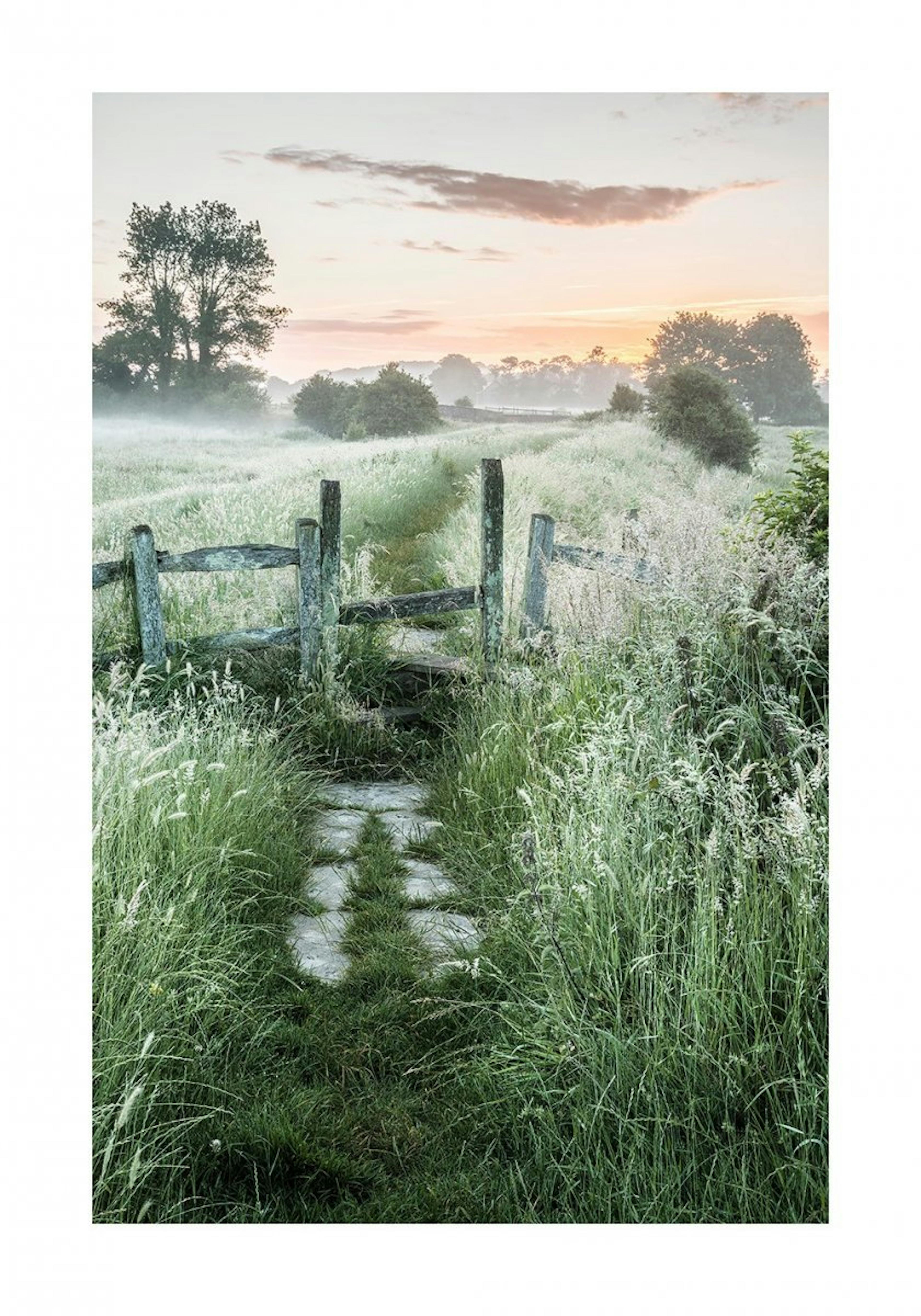 Sommersonnenaufgang Poster 0