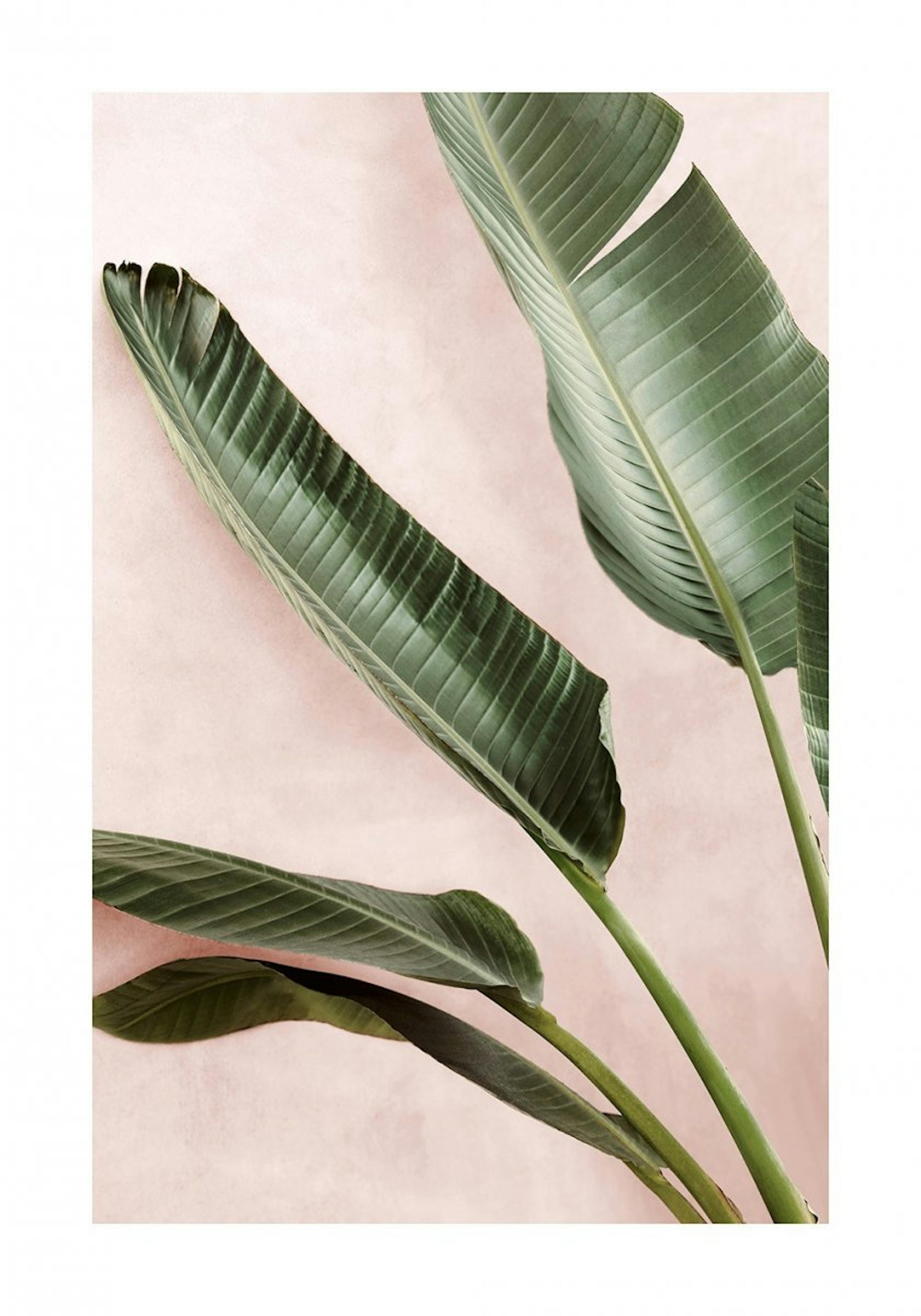 Grønne Planter Plakat 0
