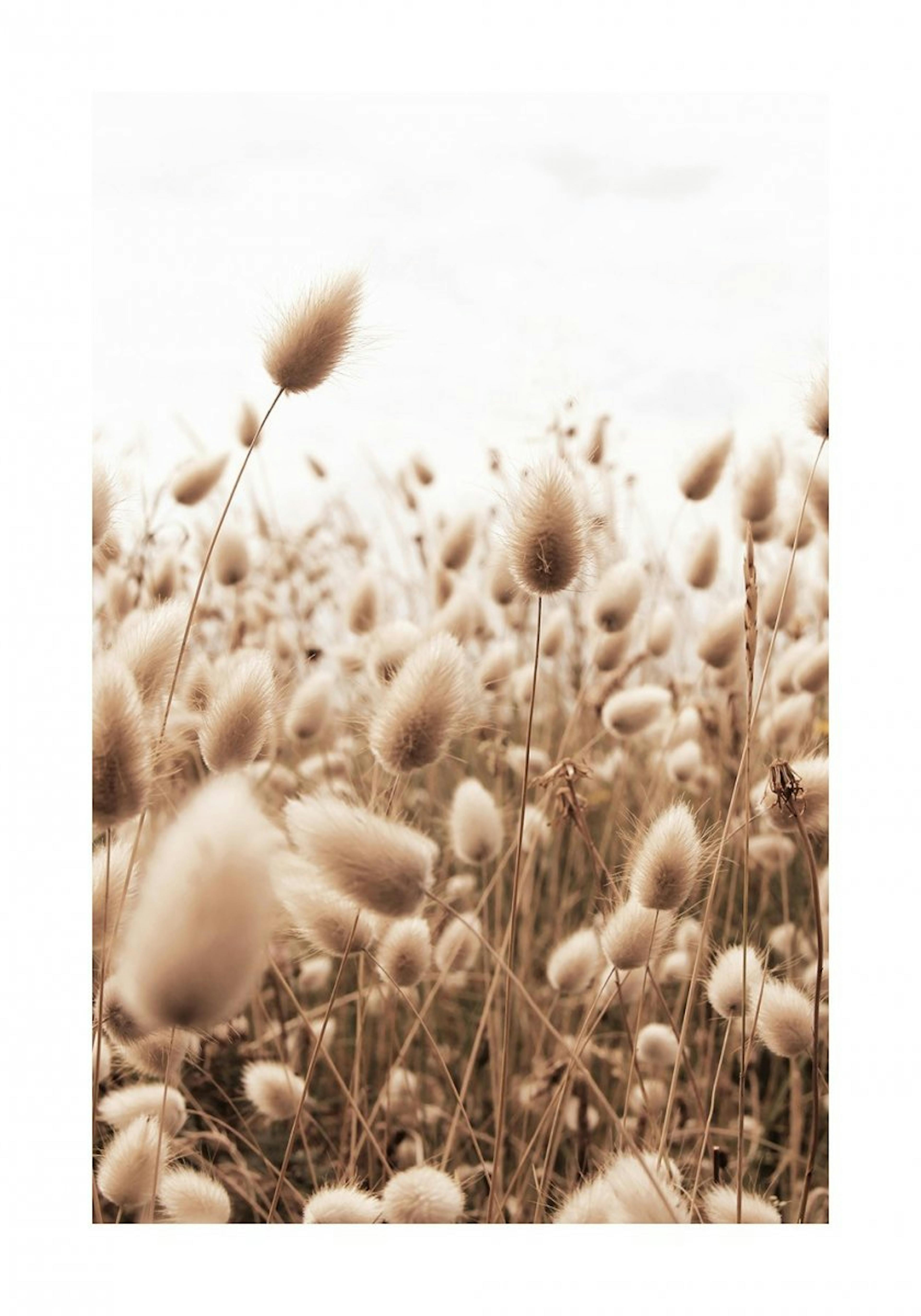 Mykt Gress Poster 0
