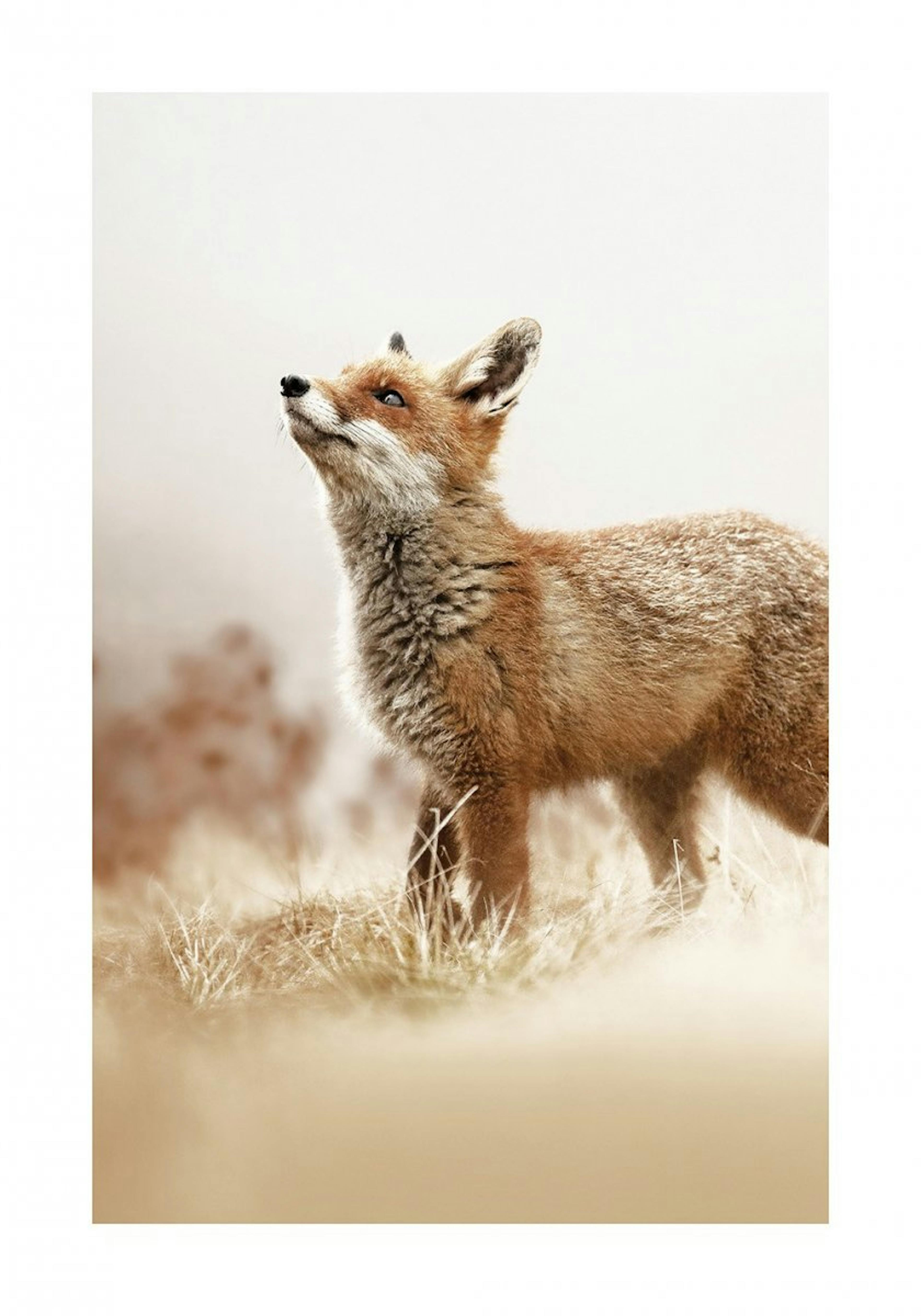 Renard Poster 0