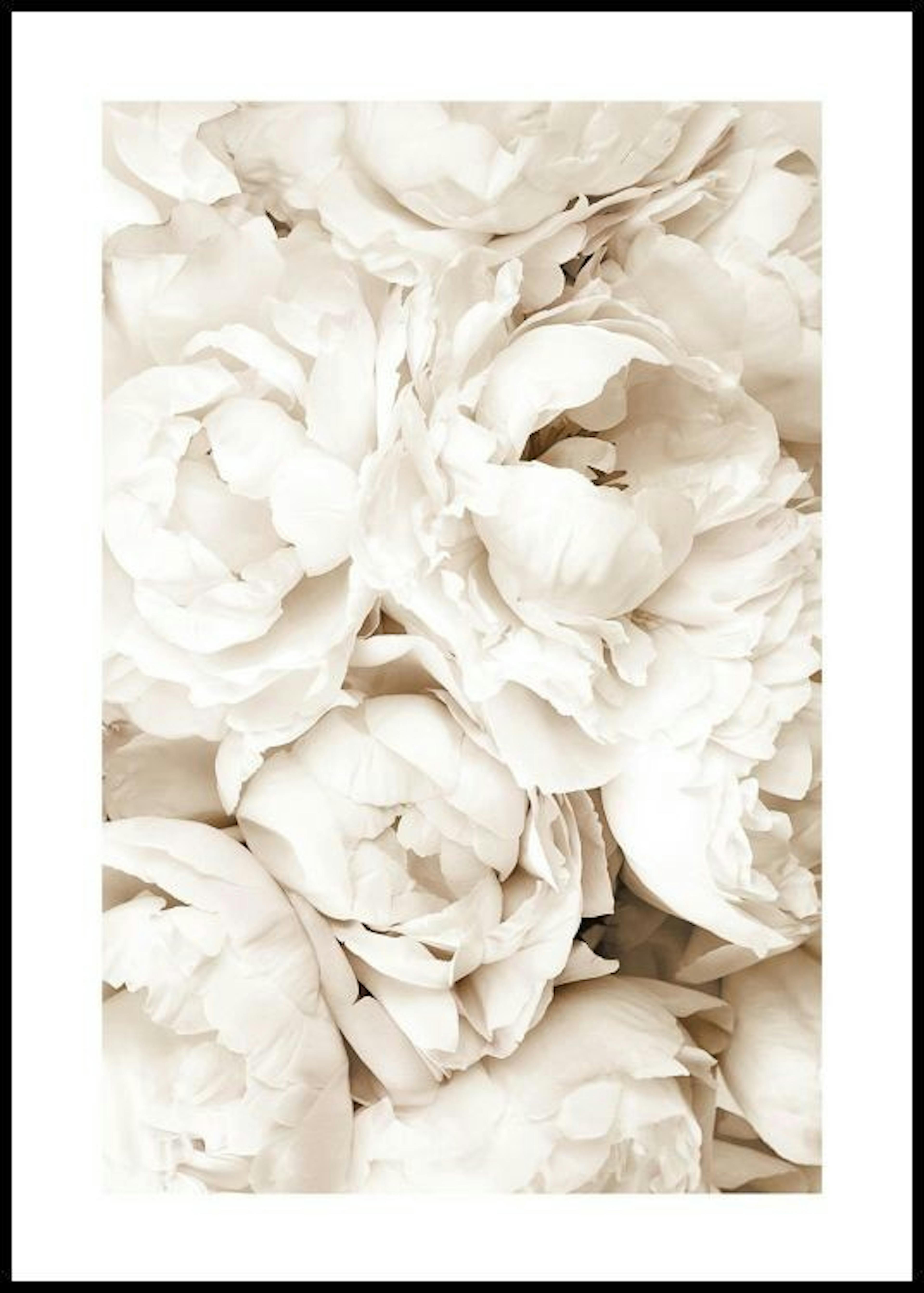 لوحة بالوان الباستيل لزهرة الفاوانيا البيضاء 0