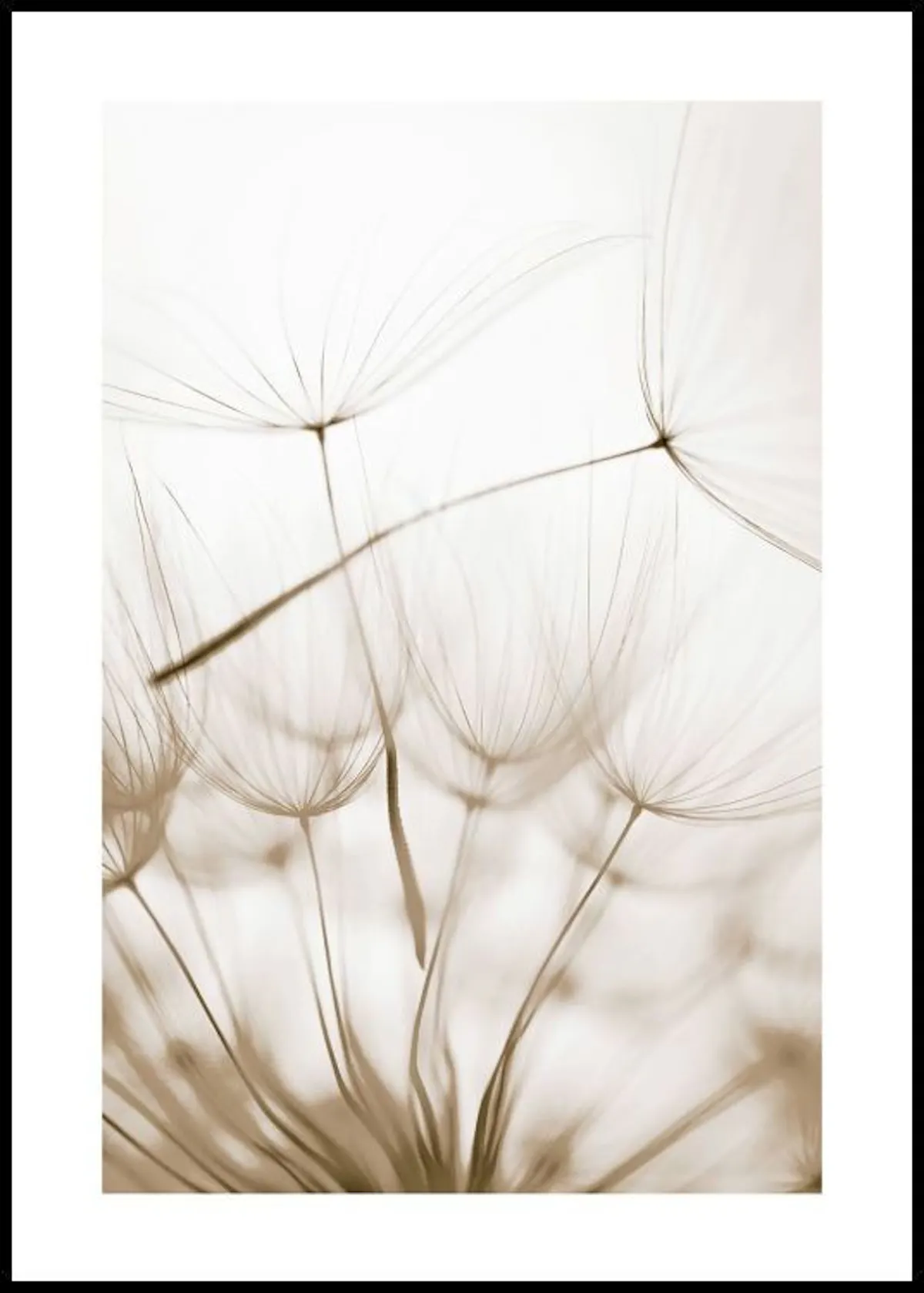 Mindfulness Poster - Buy Mindfulness Prints online