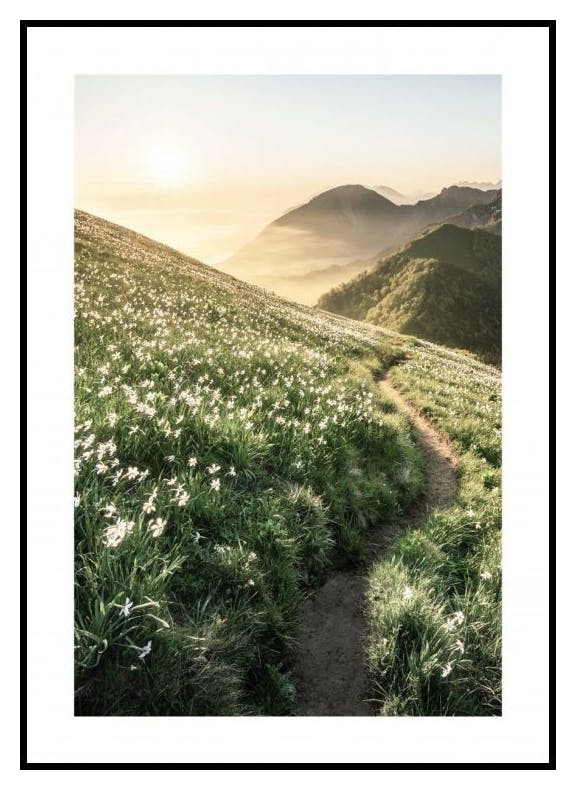 Stig i Solnedgång Poster (21x30 cm) - Poster Store