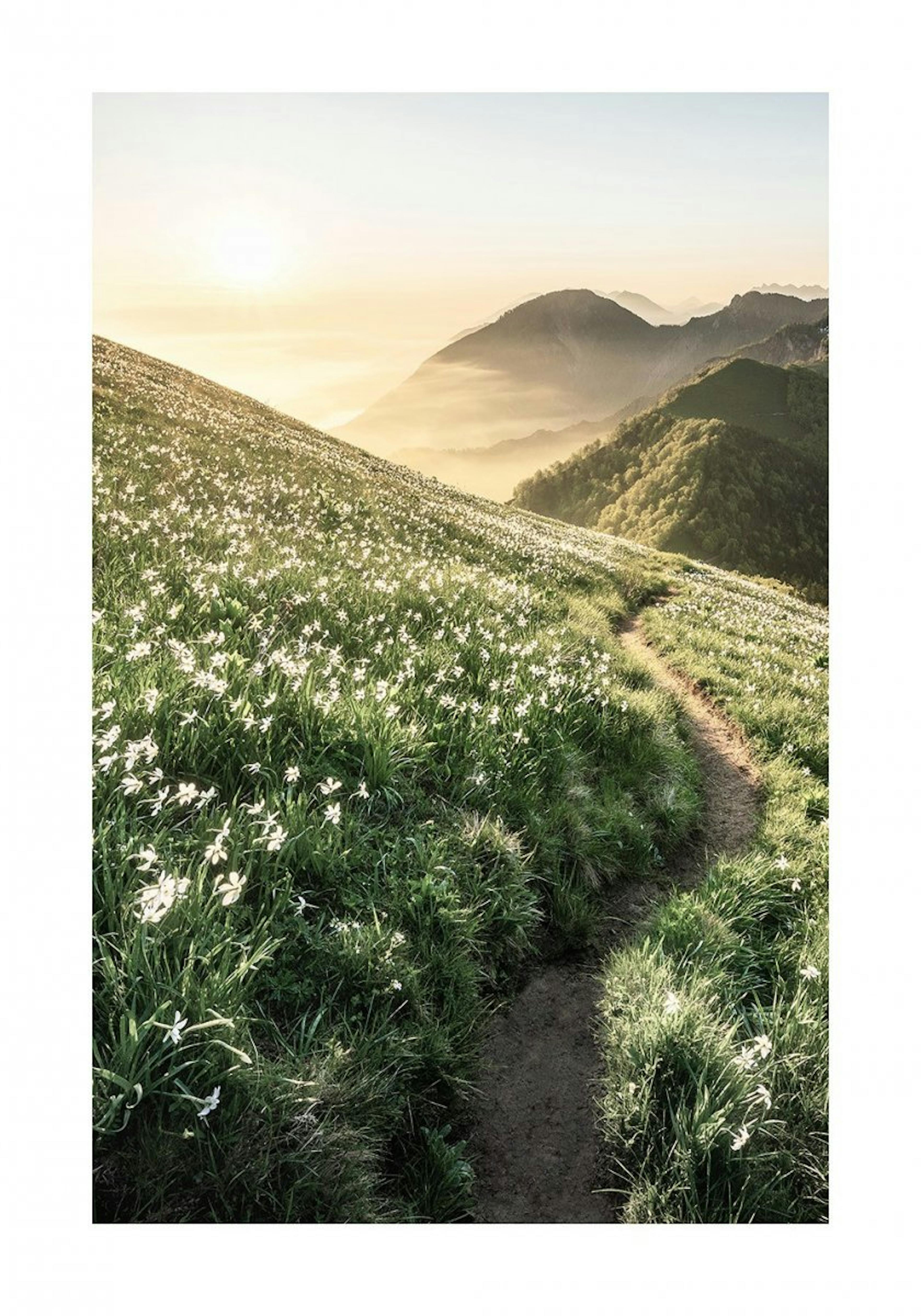 Chemin au Coucher du Soleil Poster 0