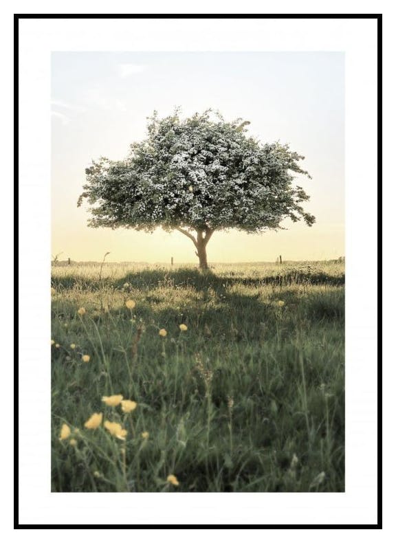 Blooming Tree Poster (21x30 cm) - Poster Store