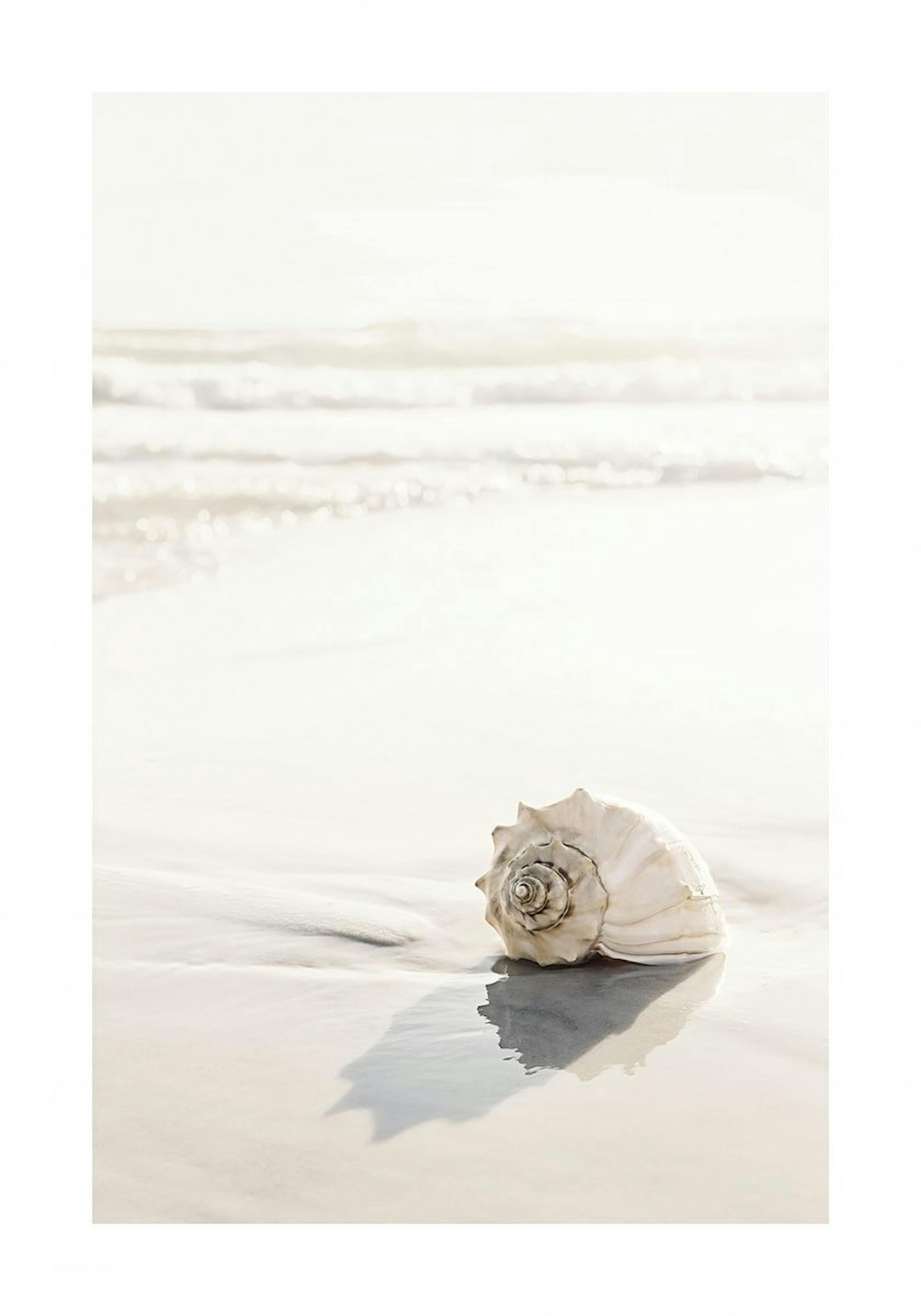 Beach Seashell Poster 0