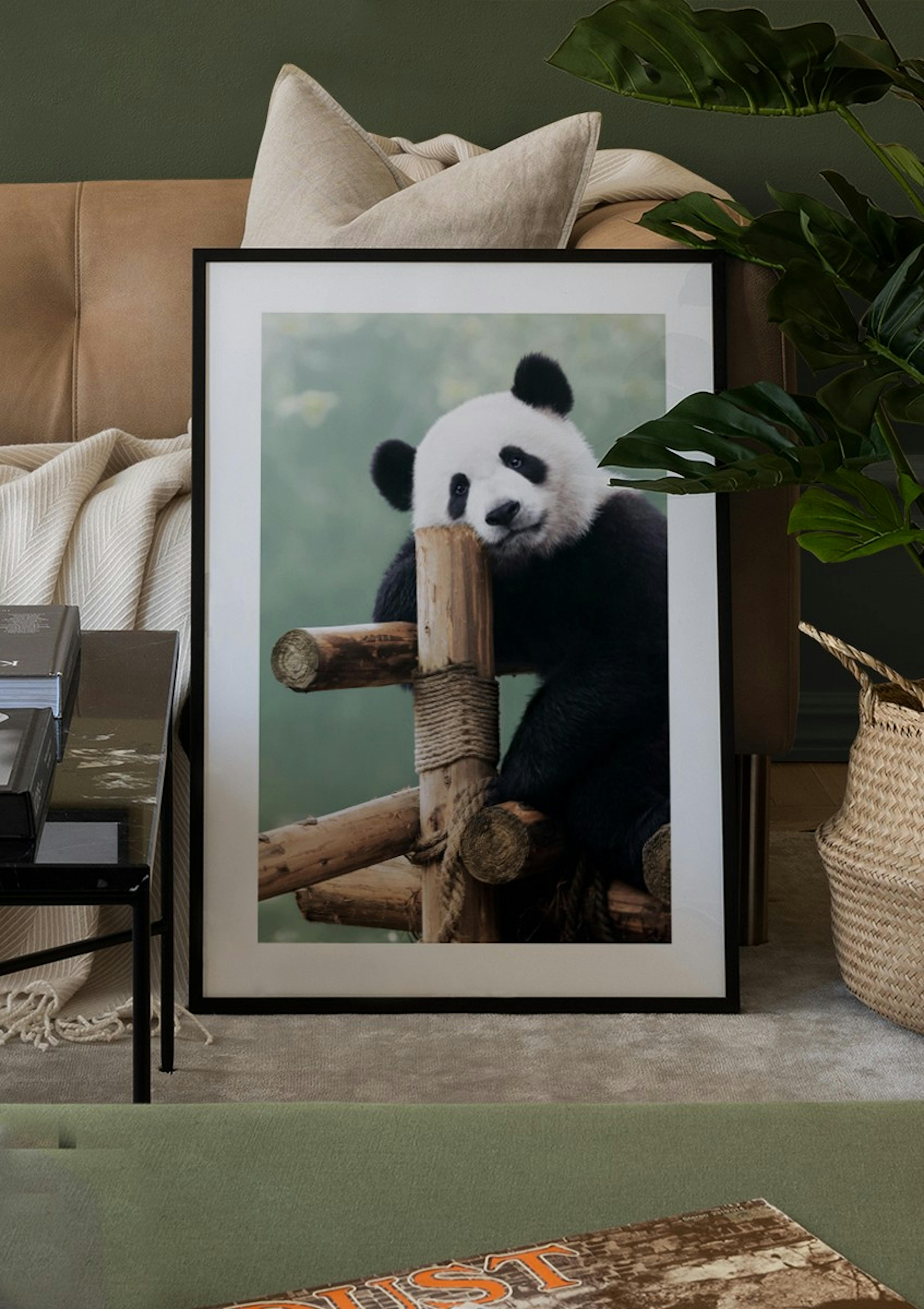 Plakat Śpiąca Panda thumbnail