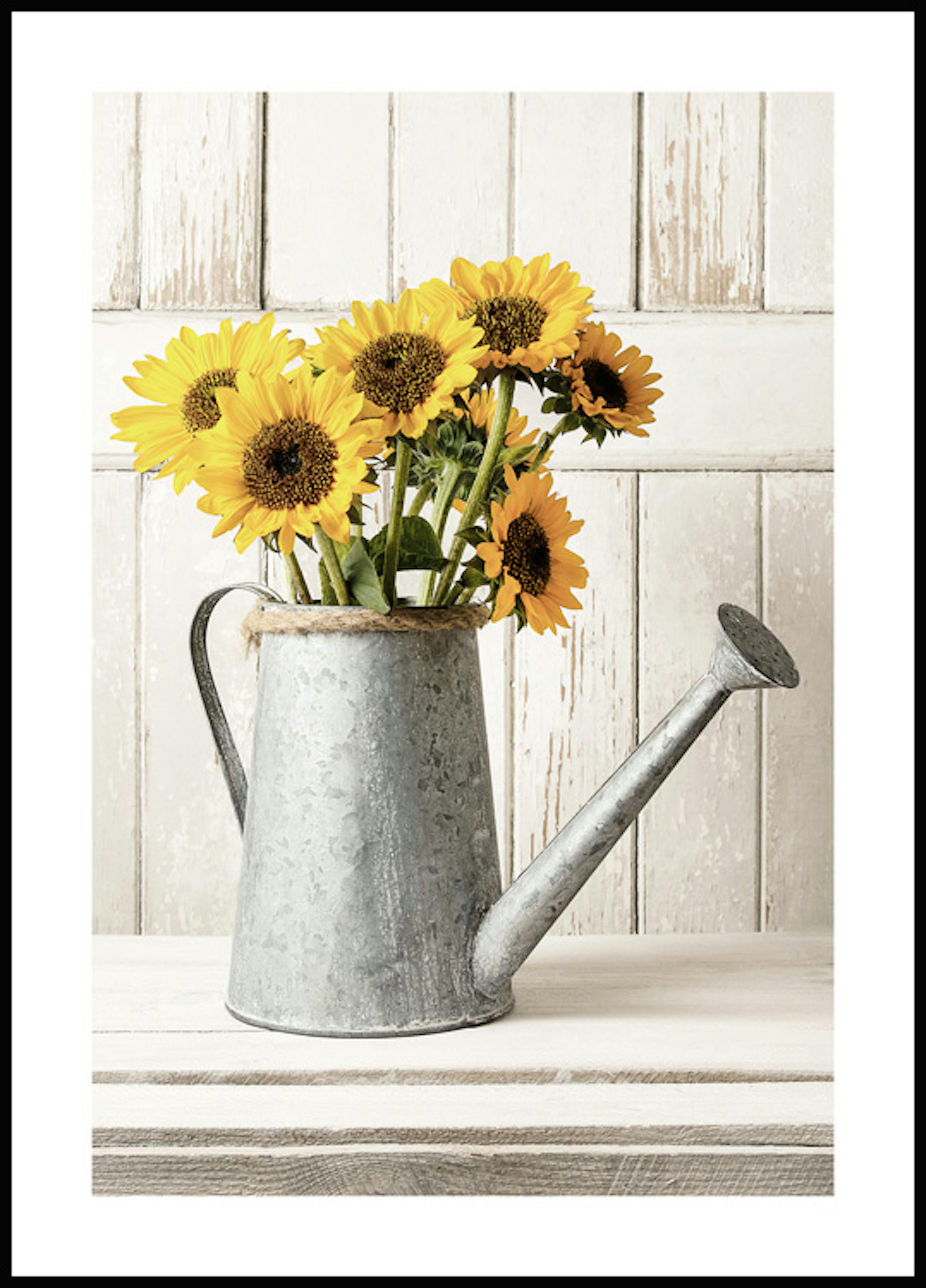 Sunflower Vase Poster 0
