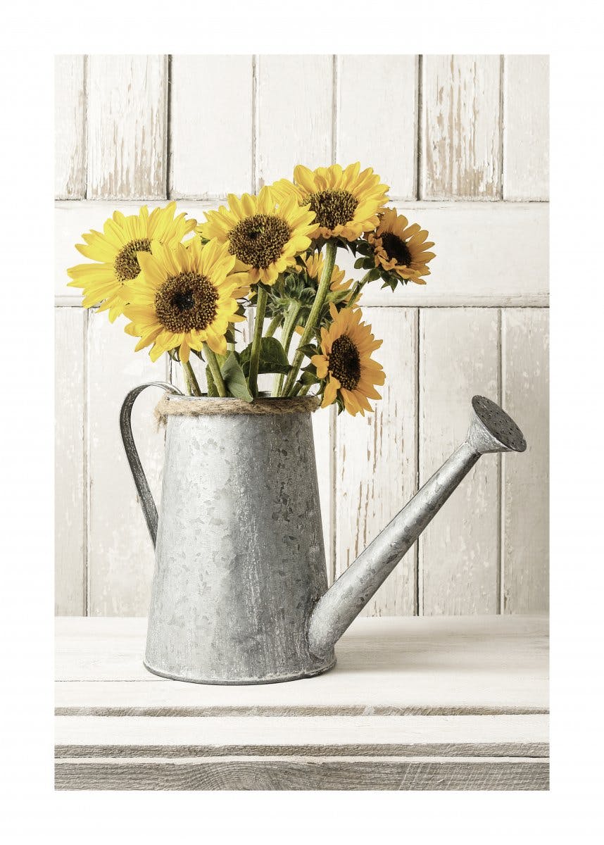 Sonnenblumen in Vase Poster 0