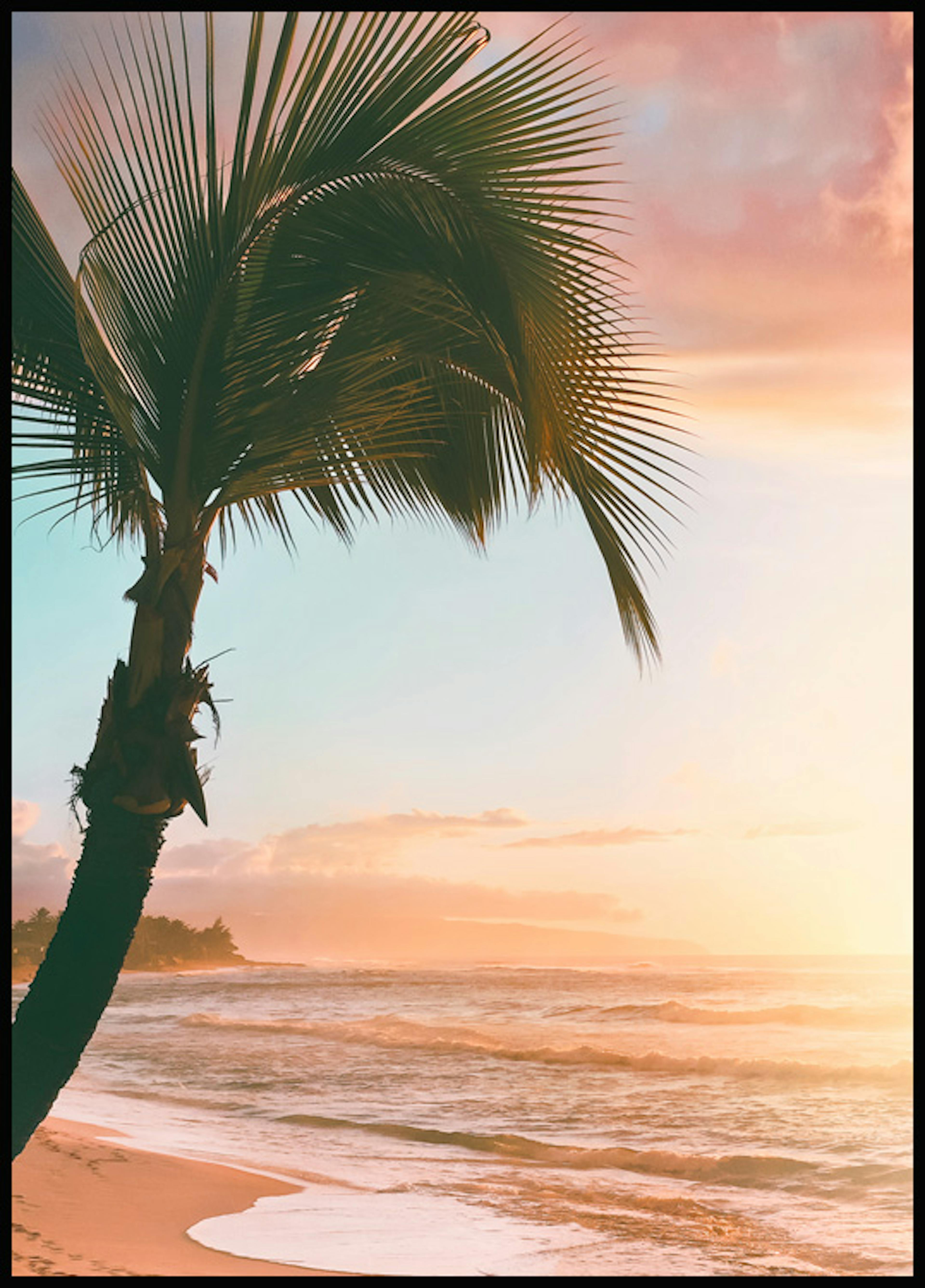 Sunset Palm Poster 0