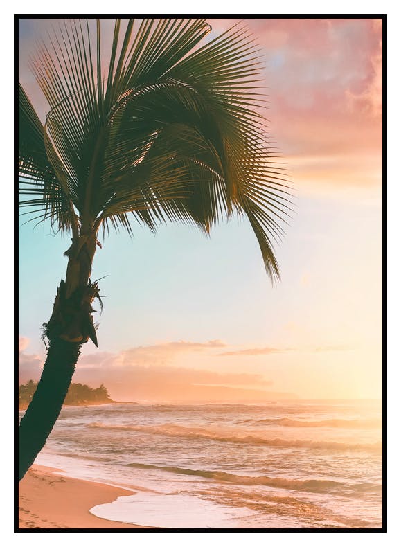 Solnedgang Palme Poster (50x70 cm) - Poster Store