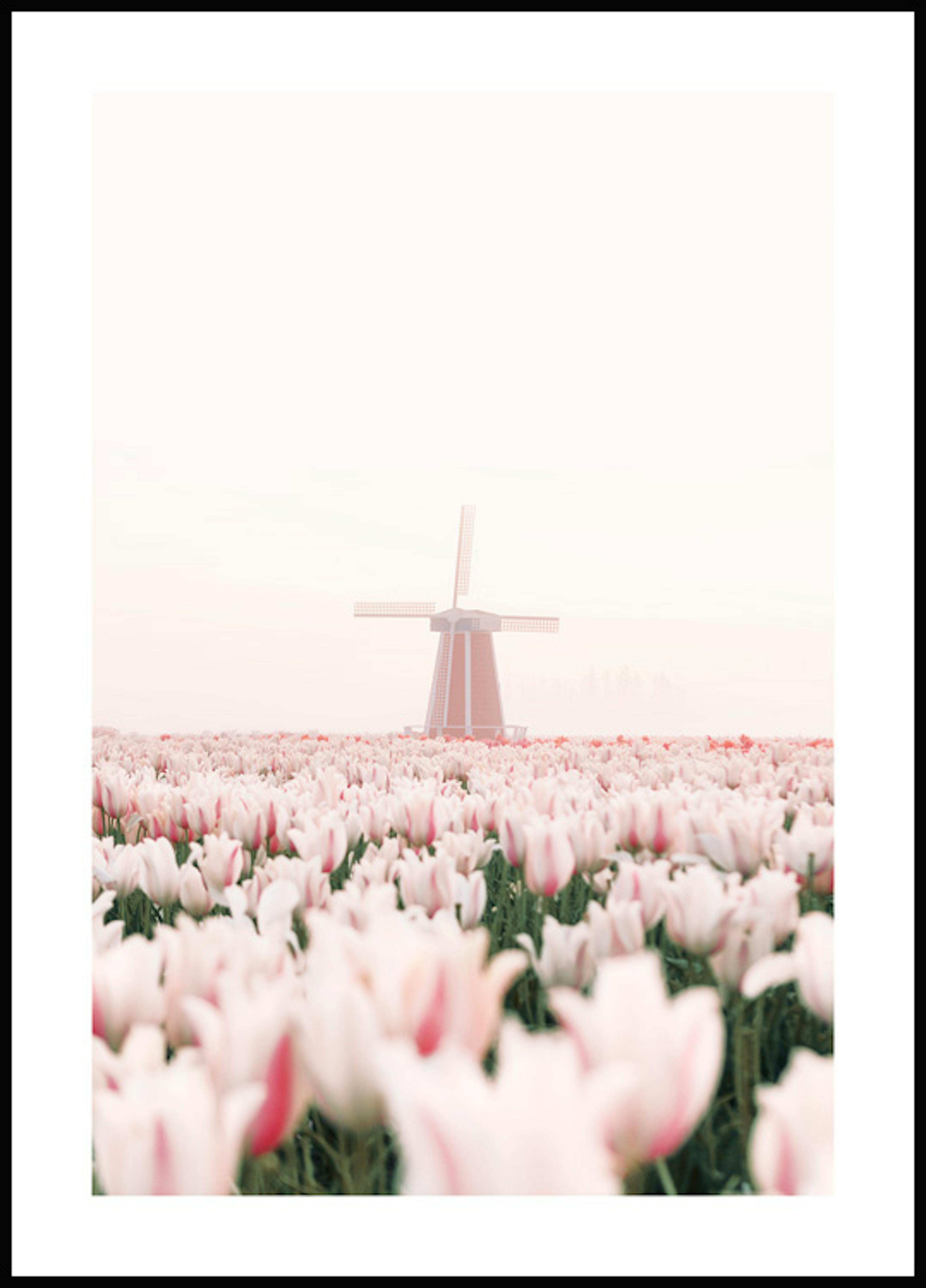 Tulpen Windmolen Poster 0