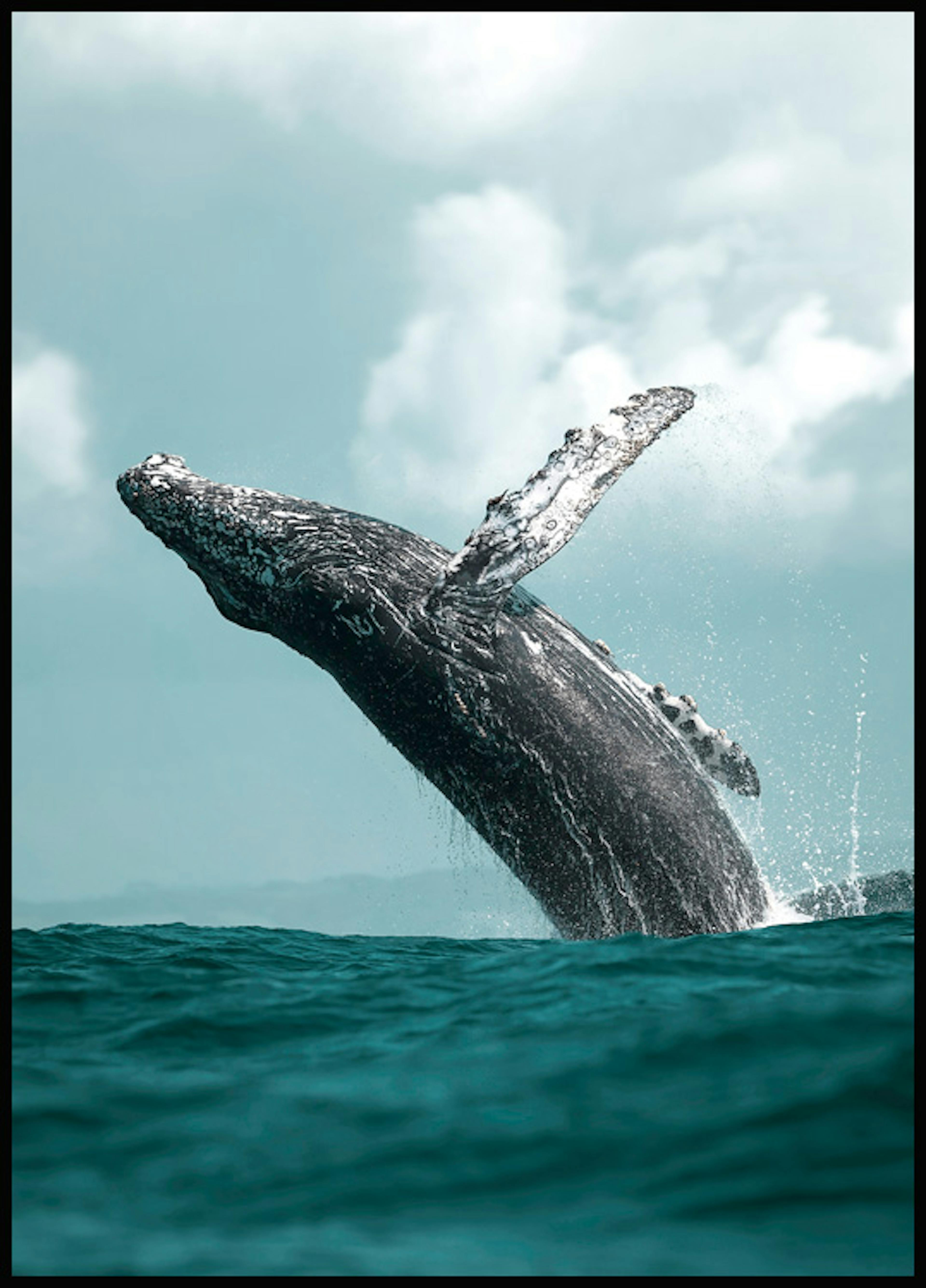 クジラジャンプポスター 0