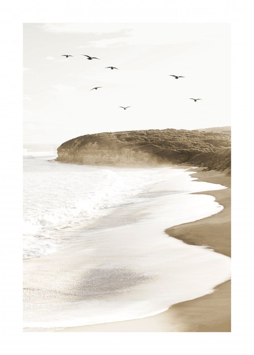 Ocean Beach Birds Poster 0