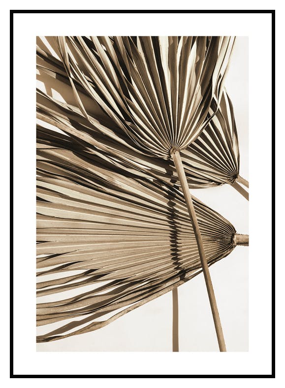 Plakat Wysuszone Liście Palmowe (30x40 cm) - Poster Store