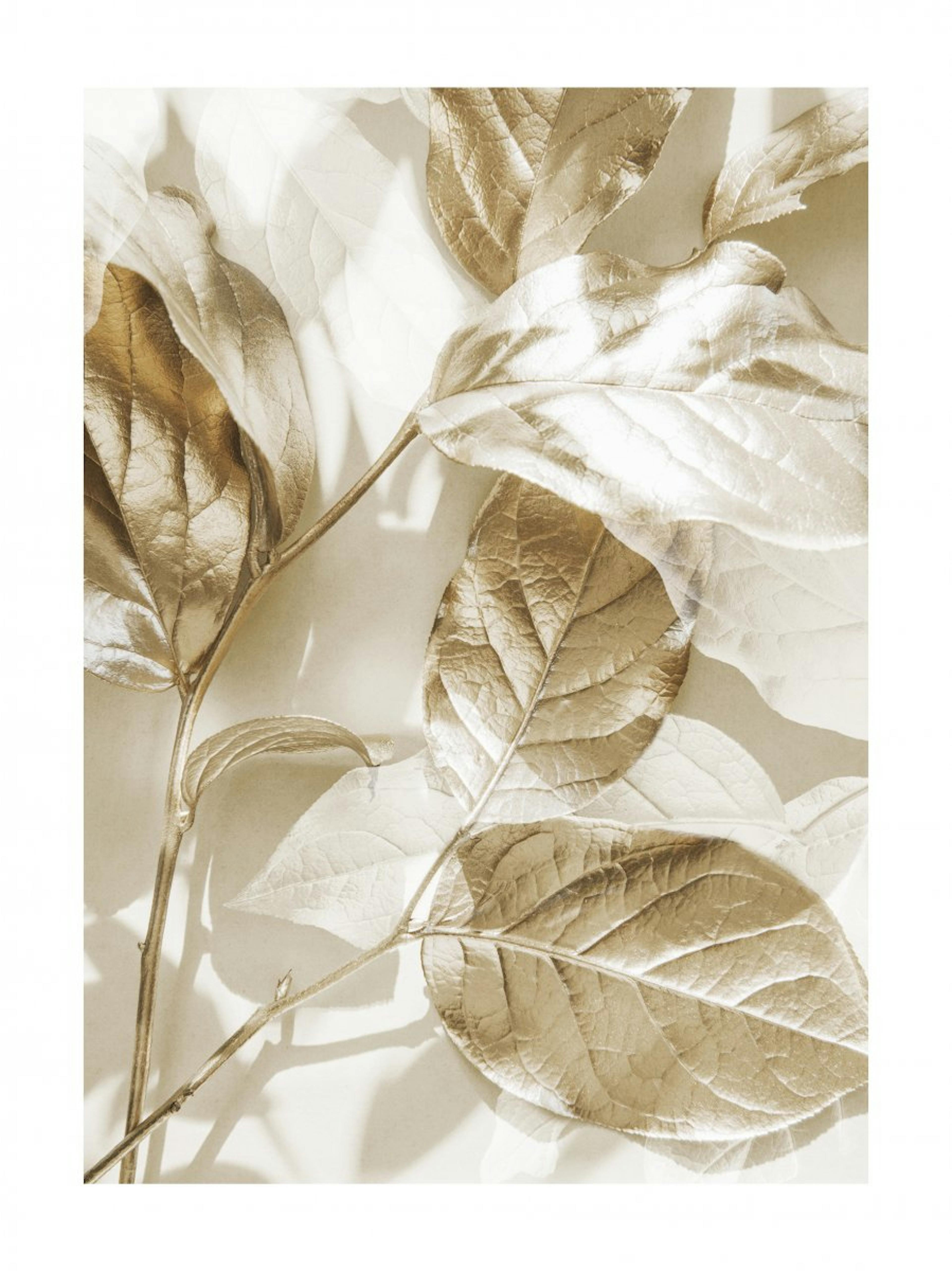 Eucalyptus Goud No1 Poster 0