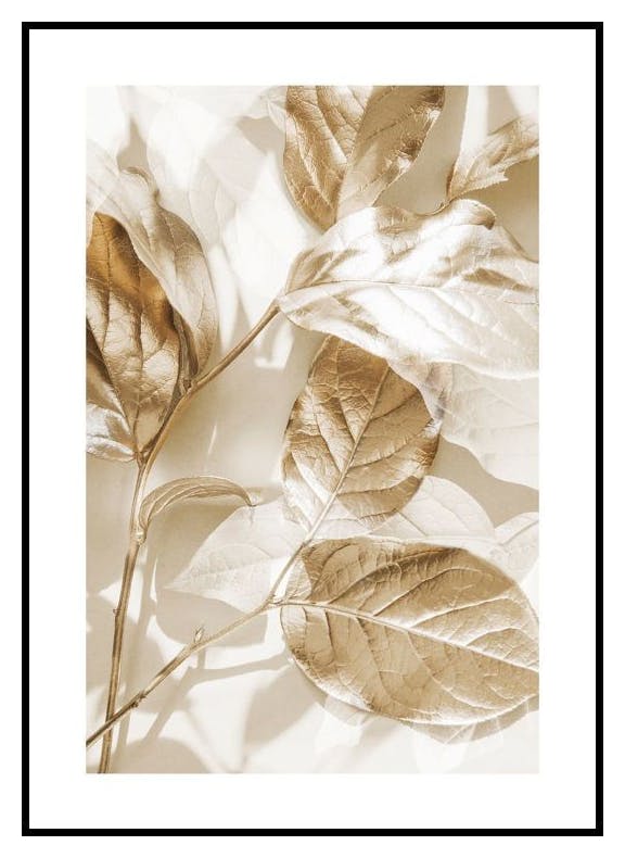 Eukalyptus Guld Nr 1 Poster (40x50 cm) - Poster Store