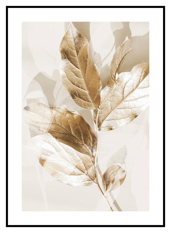Eucalipto Dorato No2 Poster (50x70 cm) - Poster Store