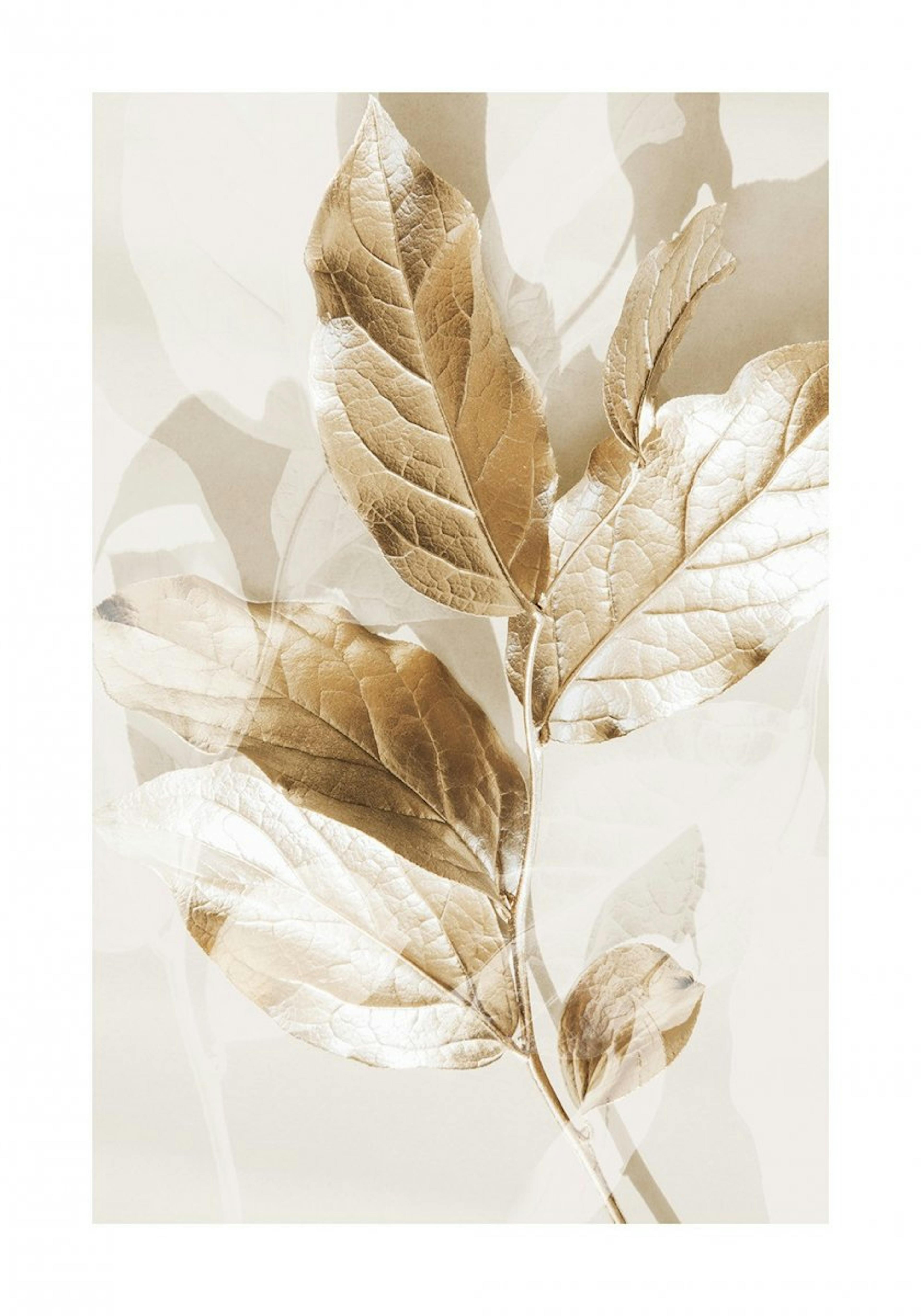 Eucalyptus Gold No2 Poster 0