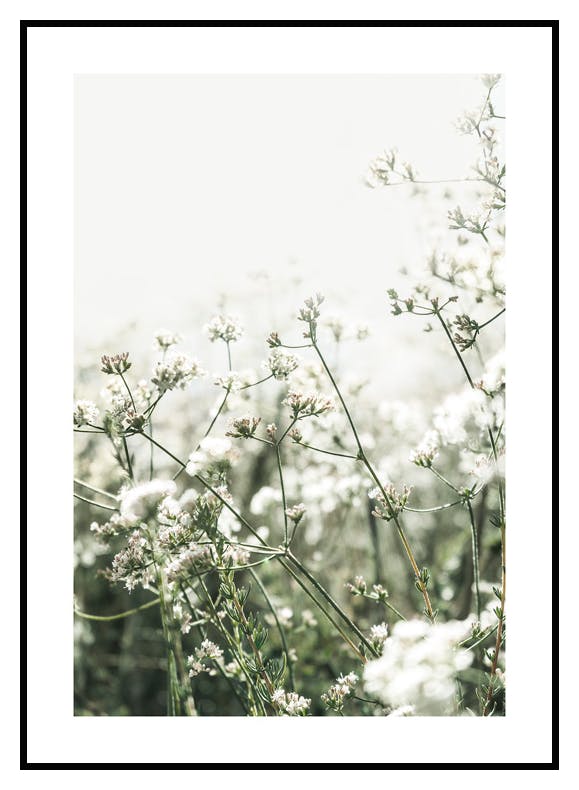 Kleine weiße Blumen Poster (21x30 cm) - Poster Store