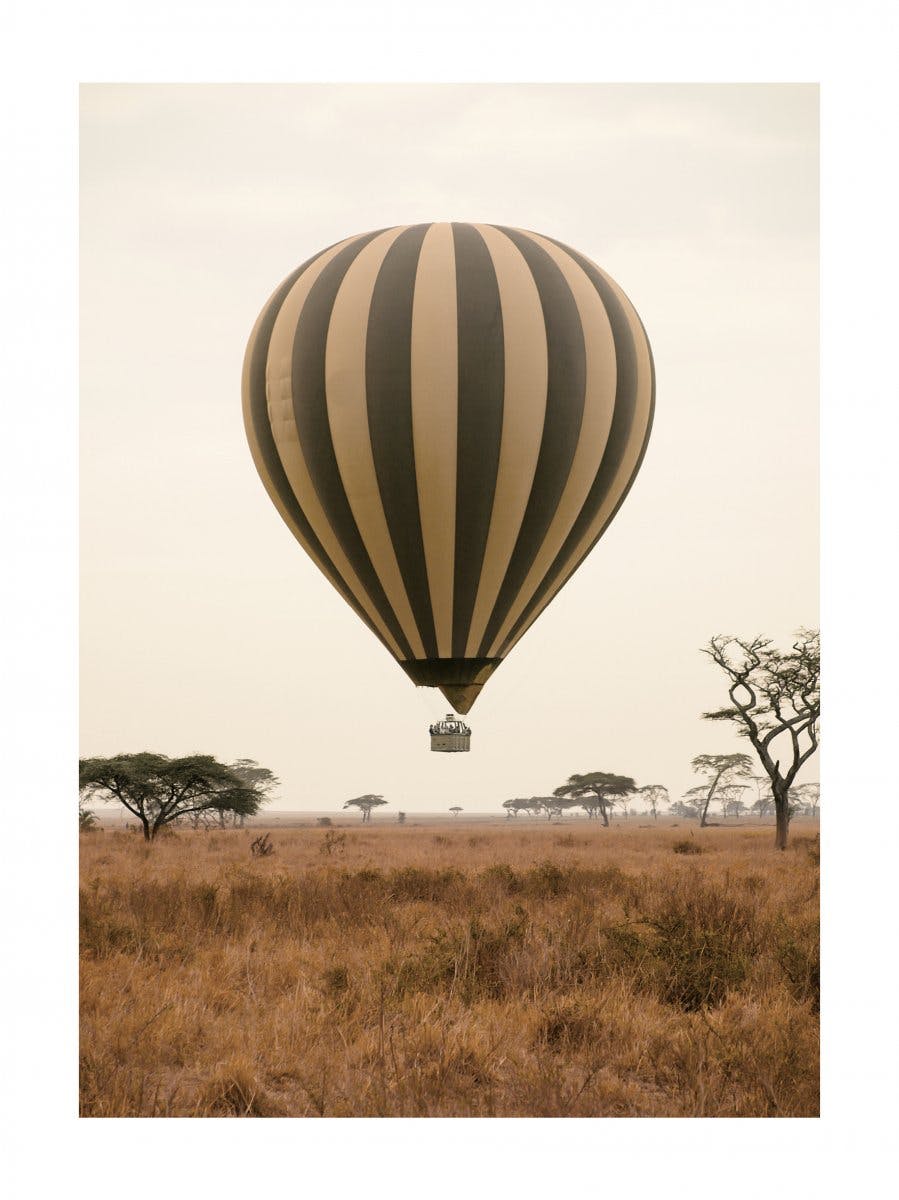 Savanne Heißluftballon Poster 0