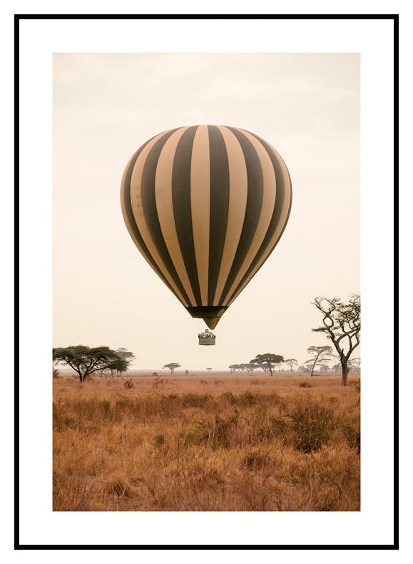 Savanne Heteluchtballon Poster (50x70 cm) - Poster Store
