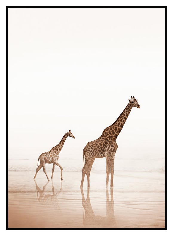 Plakat Żyrafy Na Plaży (30x40 cm) - Poster Store