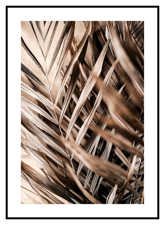 Plakat Zasuszone Liście (50x70 cm) - Poster Store