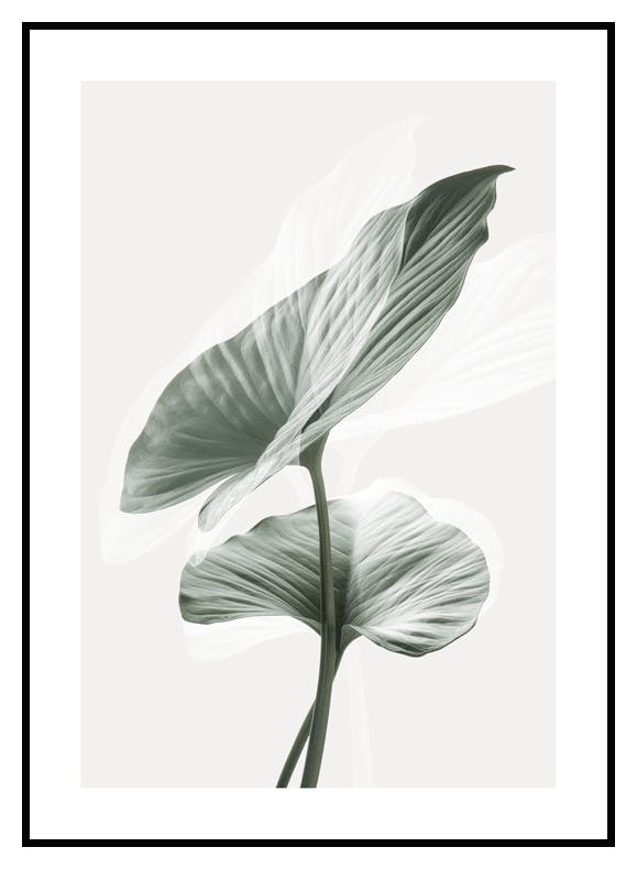 Plakat Zielone Liście (21x30 cm) - Poster Store