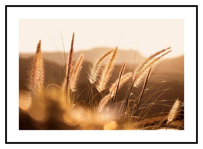 Plakat Jesienna Trawa (30x40 cm) - Poster Store