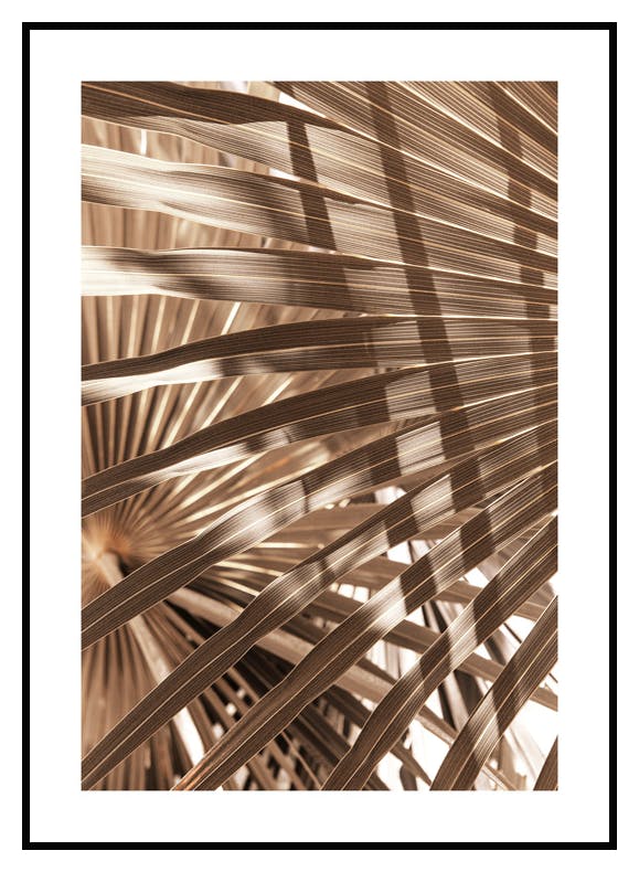 Brunt Palmeblad Poster (21x30 cm) - Poster Store