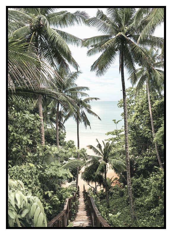 Pont Tropical Poster (50x70 cm) - Poster Store