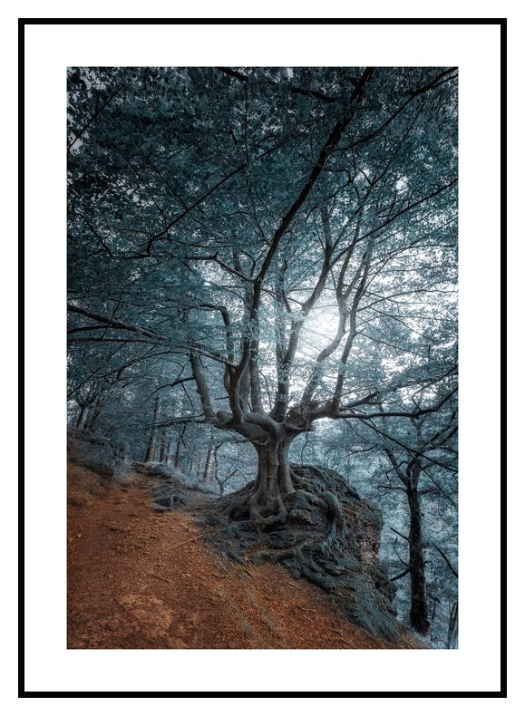 Beukwilg Poster (21x30 cm) - Poster Store