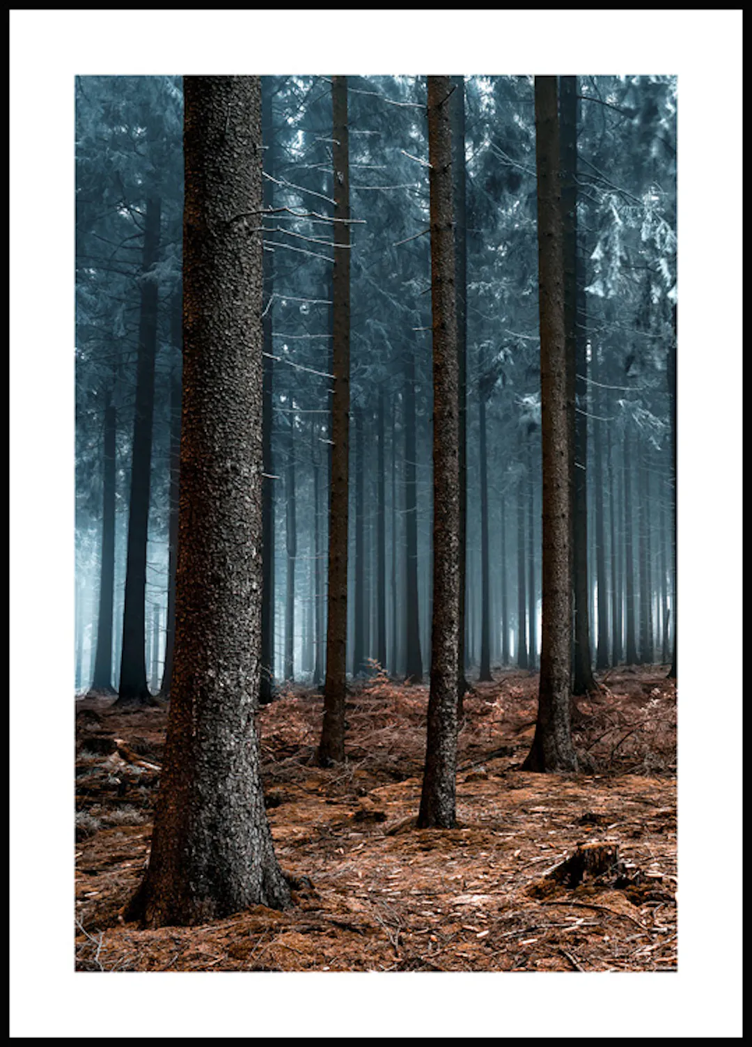 Affiche Poster 100x70cm Tableaux Image Photo Montagnes Prairie Paysage forêt Art