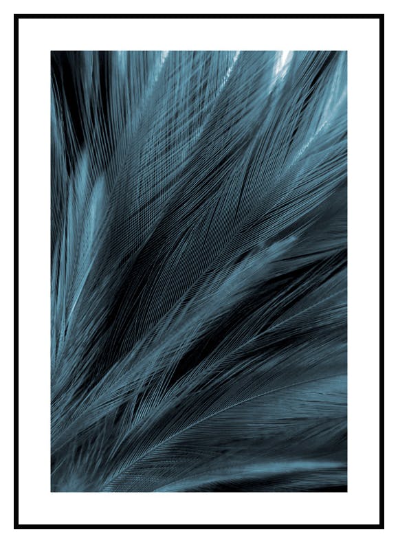 Dark Blue Feathers Poster (21x30 cm) - Poster Store