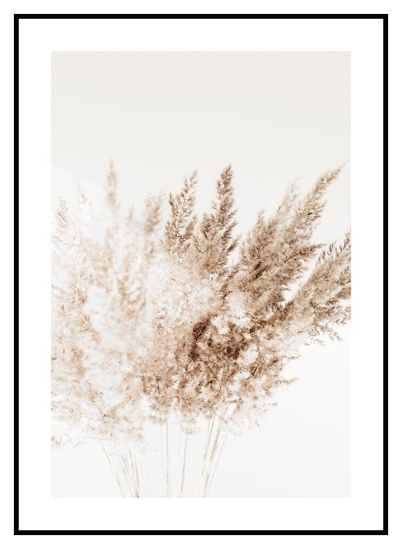 Kimppu Kaisloja Juliste (21x30 cm) - Poster Store